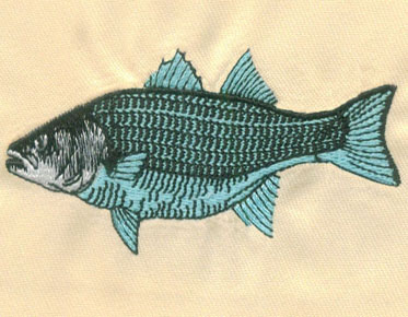 Embroidery Digitizing Fish Design